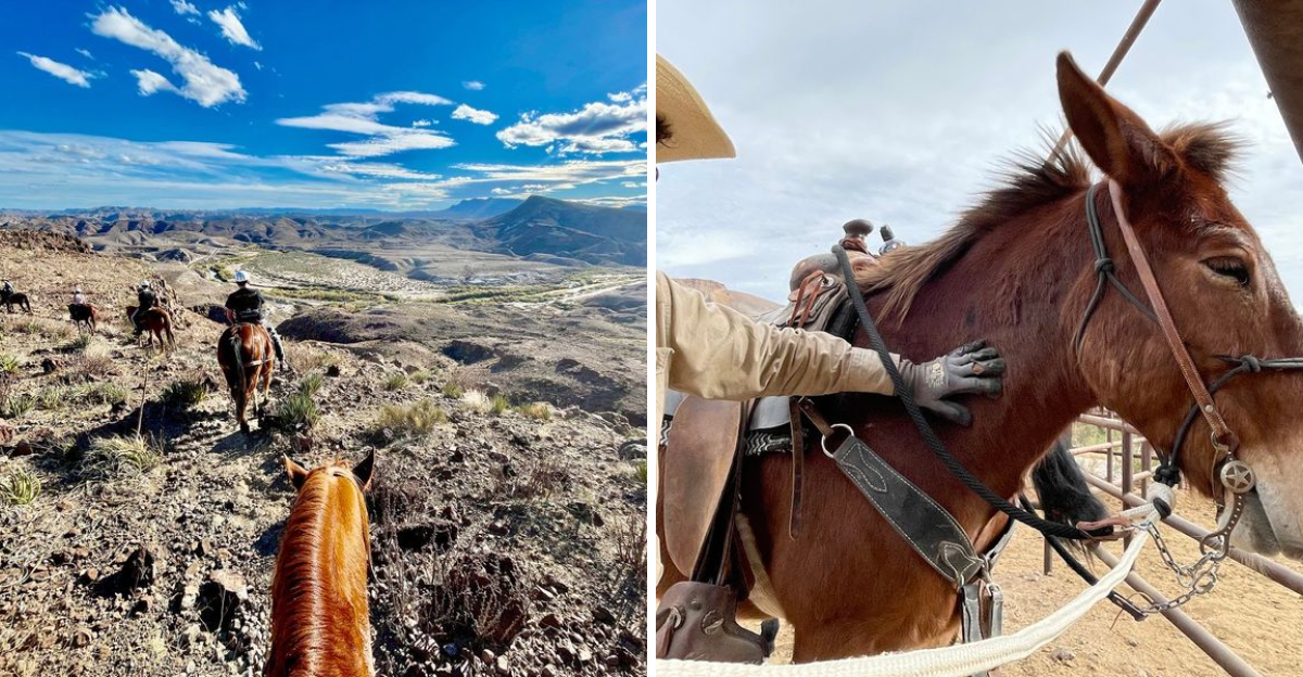 This Texas stable is a favorite destination for horseback riding adventures