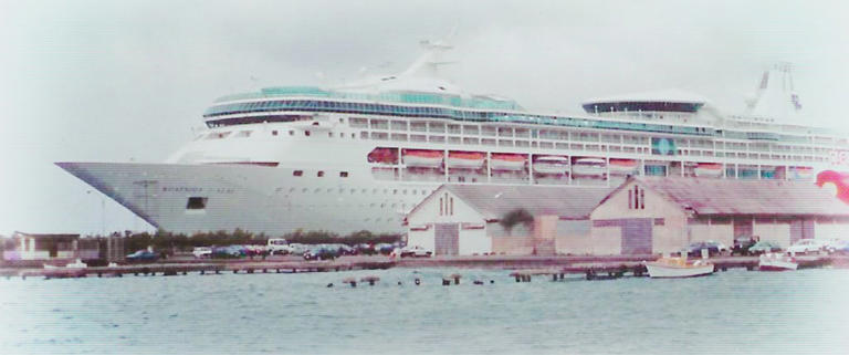 FBI offers new reward for missing cruise passenger Amy Lynn Bradley ...