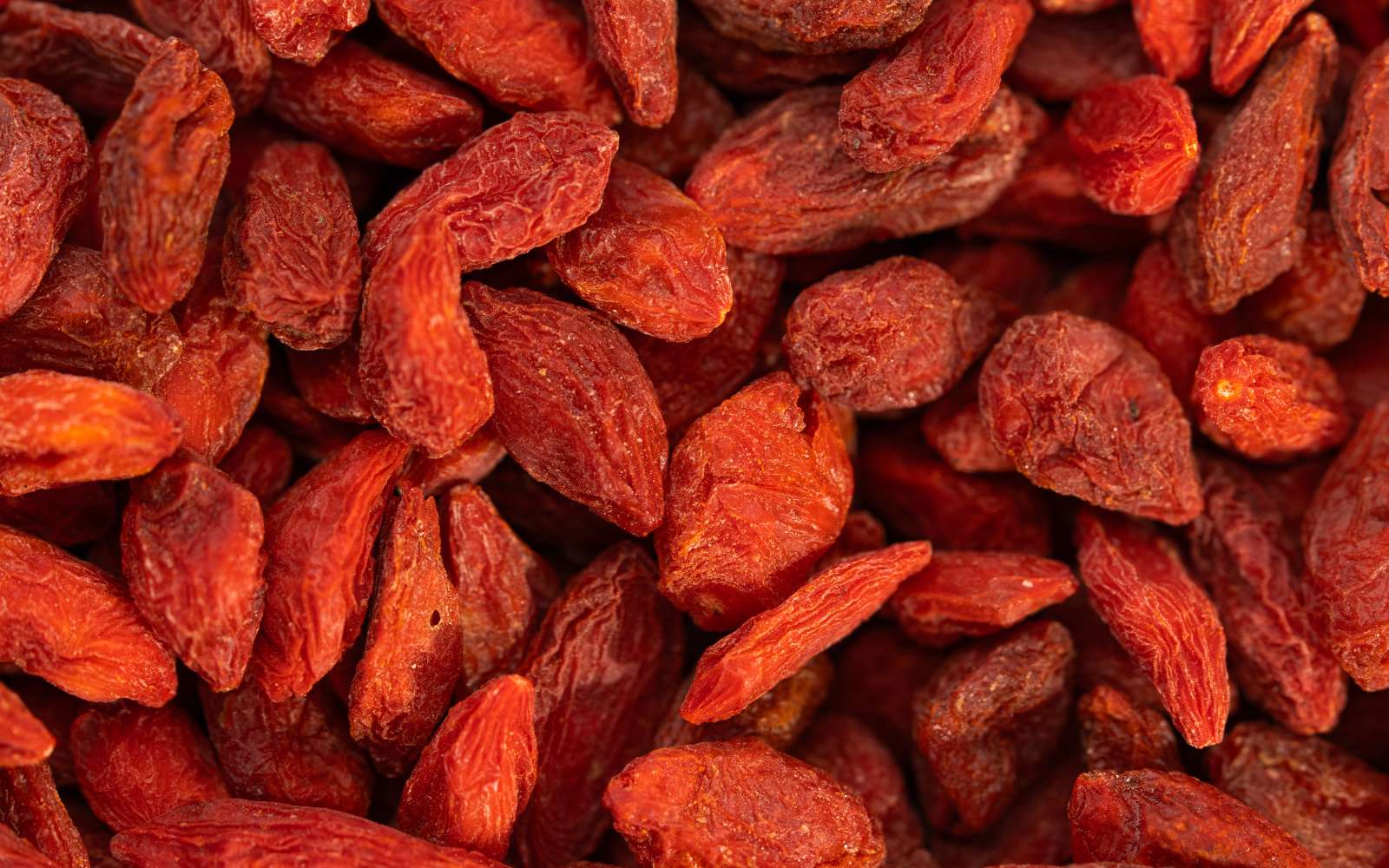La plante de la semaine des baies de goji dans son jardin — free download