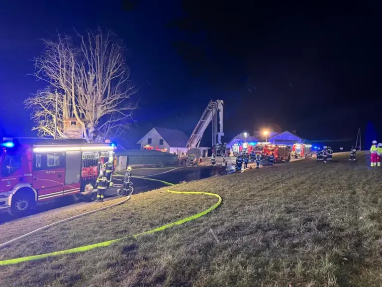 ©BFV Weiz Sieben Feuerwehren kämpften stundenlang gegen die Flammen in Birkfeld.