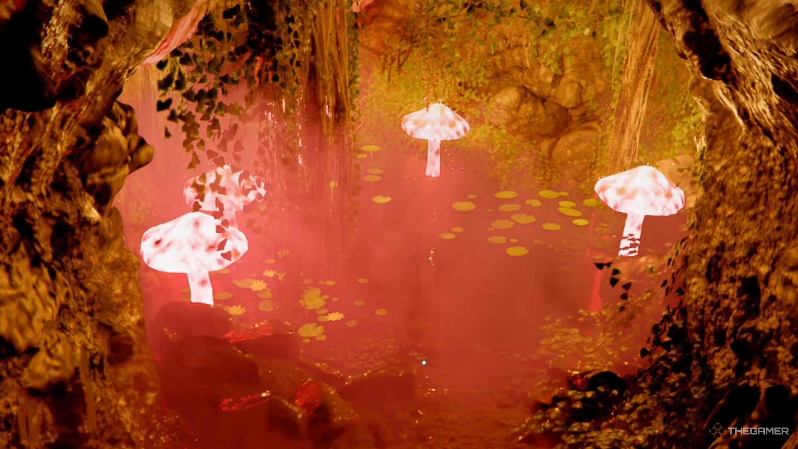 How to get the mystical pine mushroom in Crimson Desert