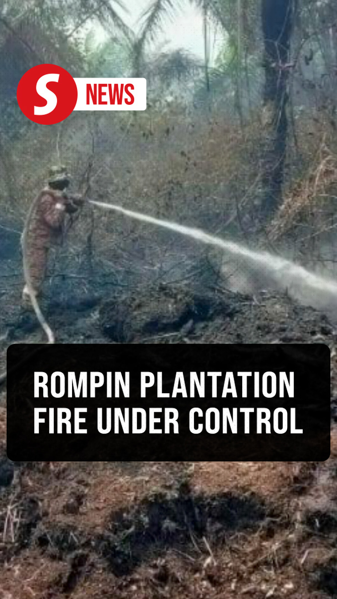 60ha of Rompin oil palm plantation fire brought under control, says Bomba