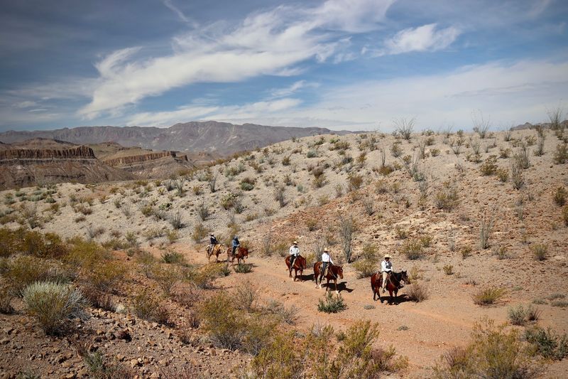 This Texas stable is a favorite destination for horseback riding adventures