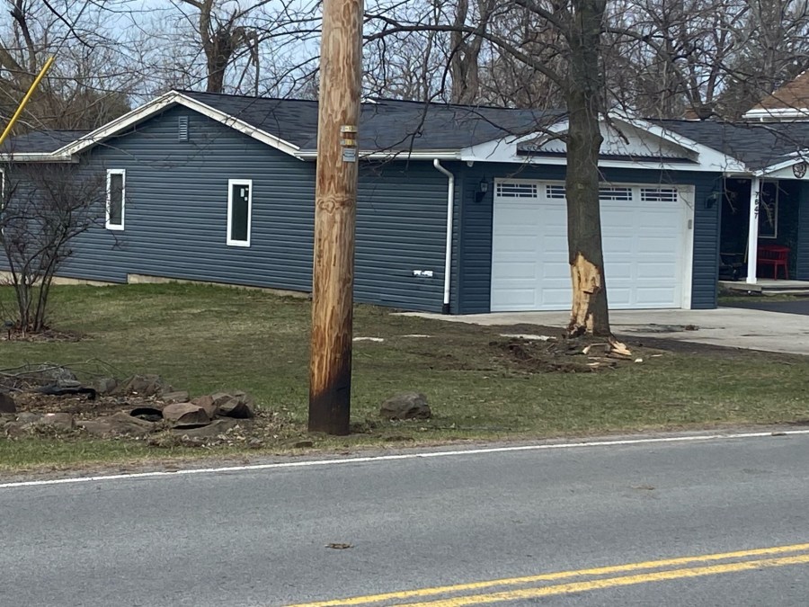 Driver dies in crash after hitting tree in Wayne Co.