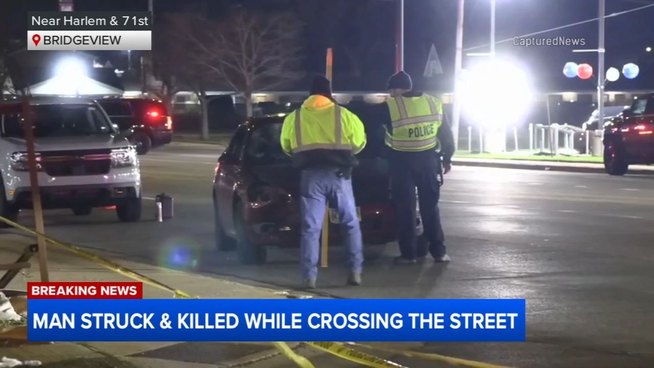 Man struck, killed while crossing street in Bridgeview, driver being ...