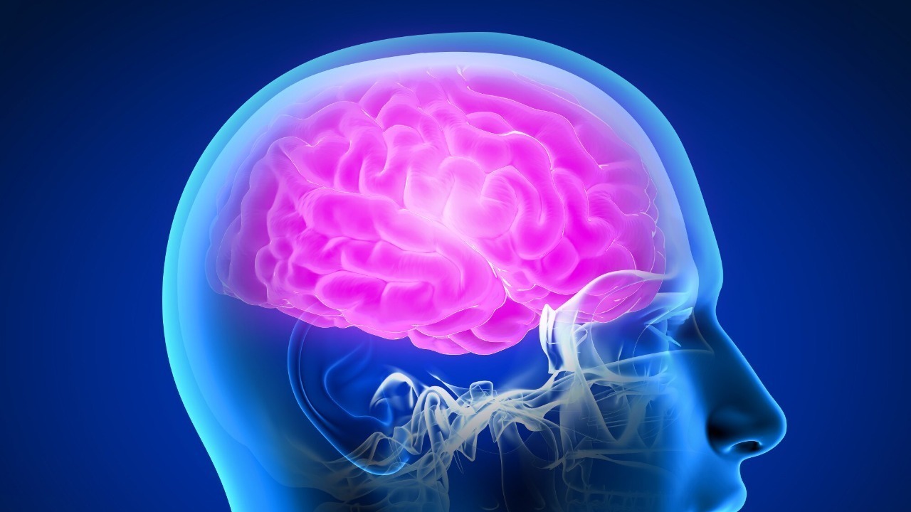 The human brain operates near, but not at, a critical point