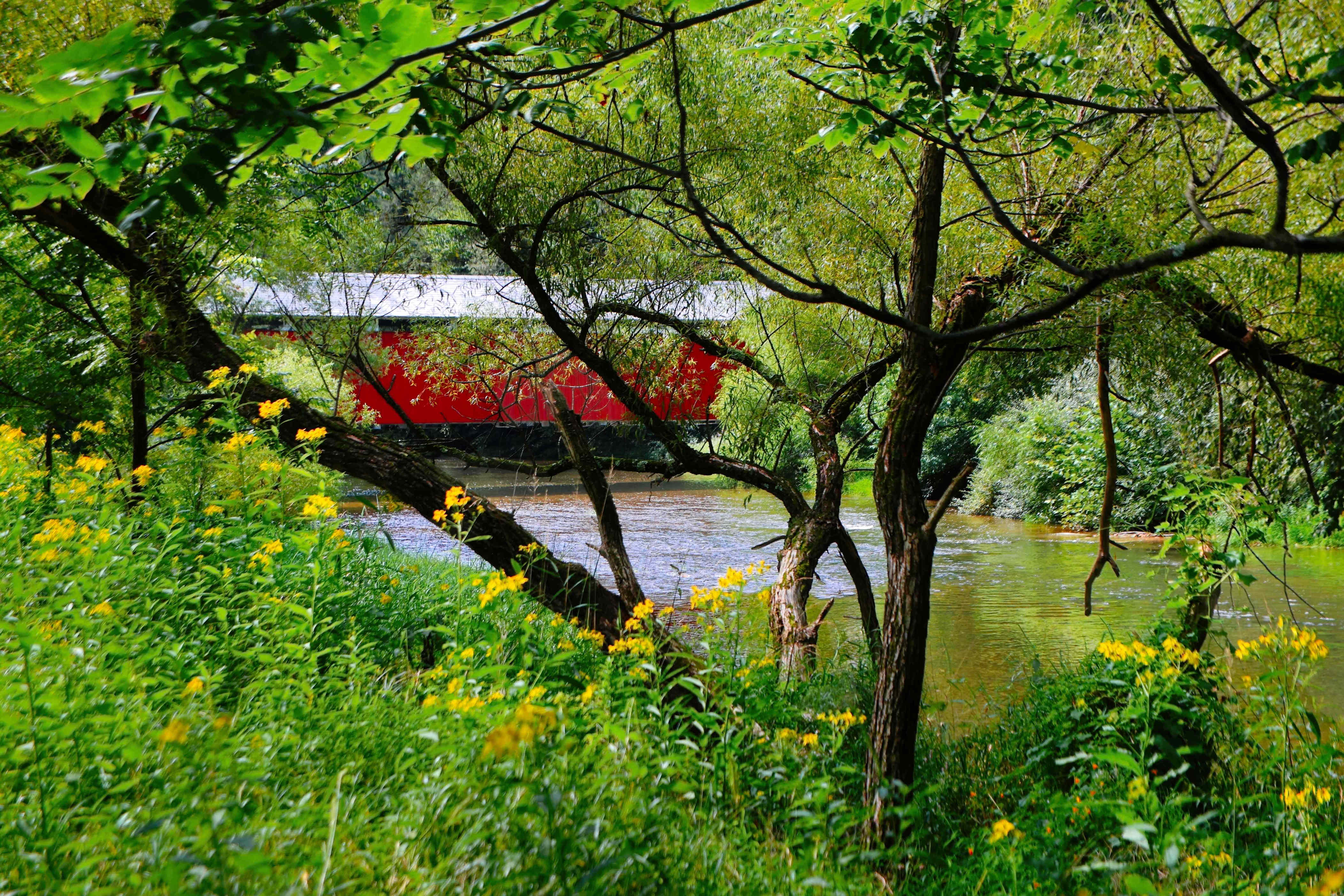 High Quality of Life: Cultivating a City for Health and Wellness - City Living Wellness