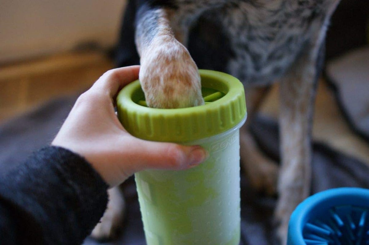 65 Weird, Amazing Things You'll Wish You Knew About Sooner