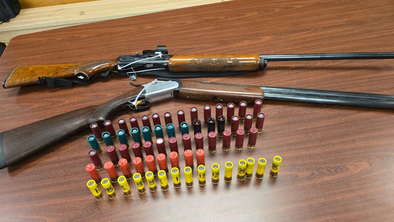 'The pigeons were terrified': NYPD takes victory lap about seizing a ...