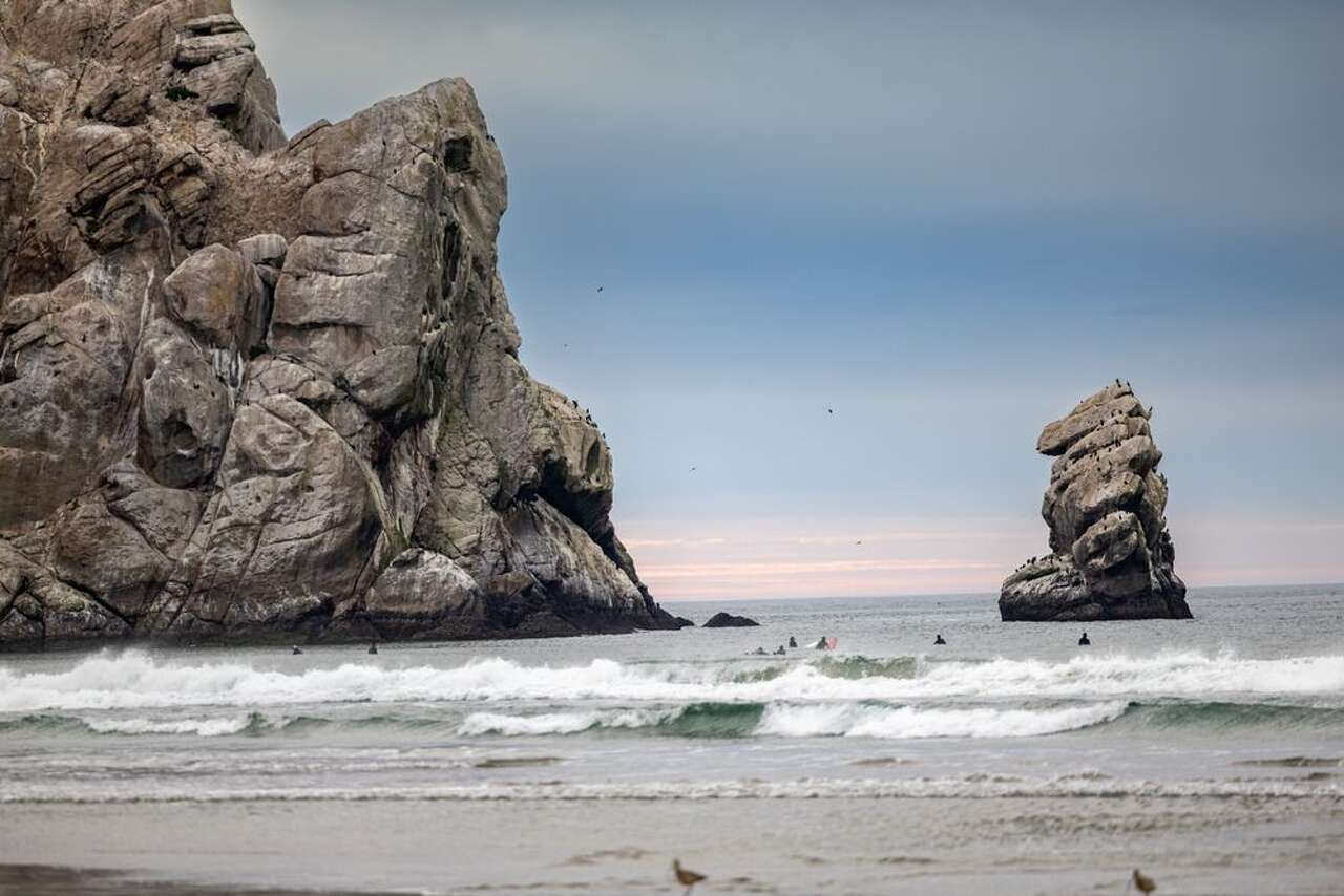 Deadly virus first detected in Bay Area park found in Central California<br>