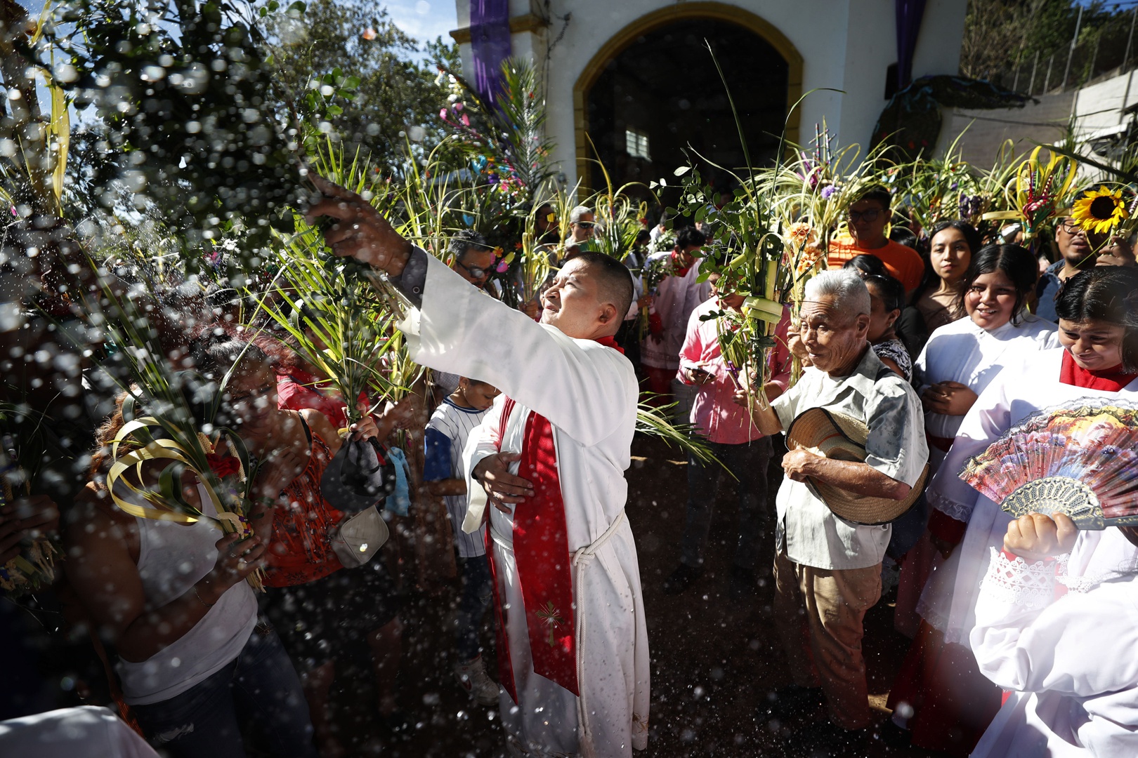 Católicos en El Salvador participan de la bendición de ramos para ...