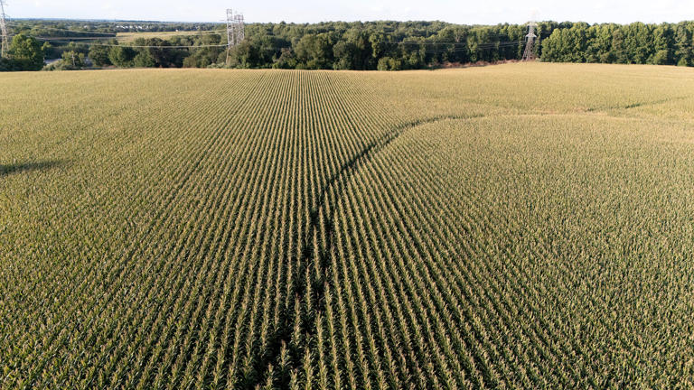 Data center developer 'confident' despite Delaware board ruling