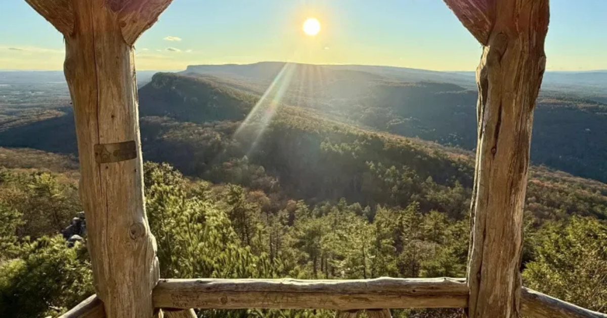 New York's most underrated state forest you need to visit