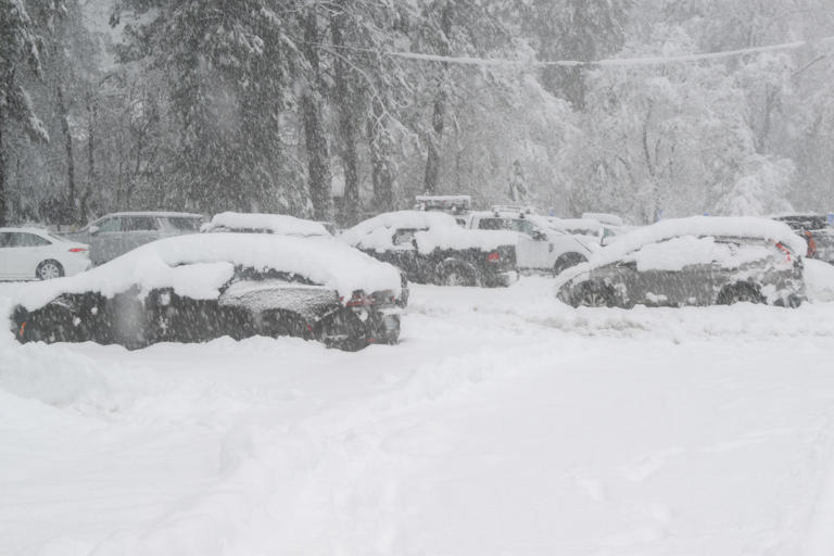 Surprise late-season winter storm could bring up to 33 inches of snow ...