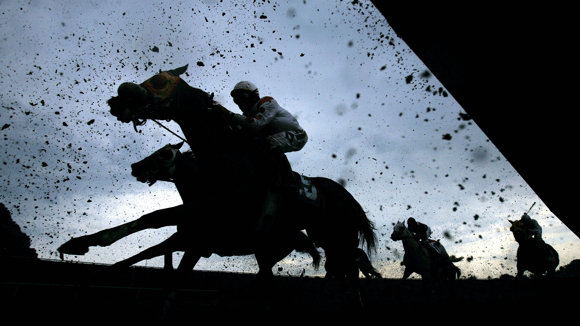Commandment wins the Florida Derby, now eyes Kentucky Derby