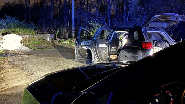 4 caught after armed robbery in Mt. Juliet leads to police chase