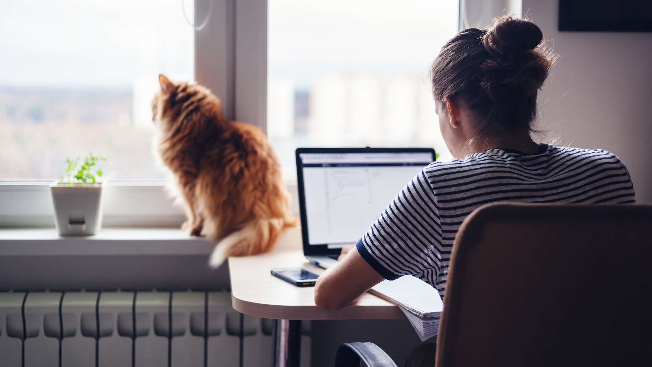 How to approach your employer about working from home and flexible work ...