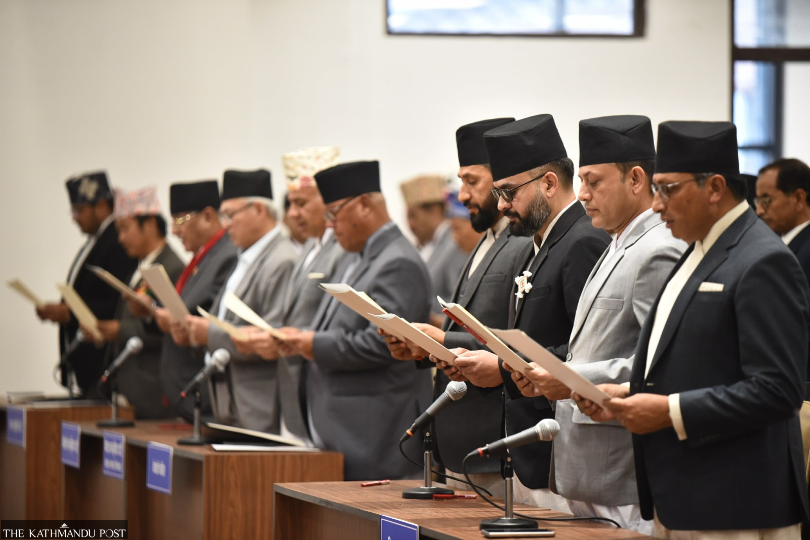 Democracy in the shadow of supermajority: Strong government, weak ...
