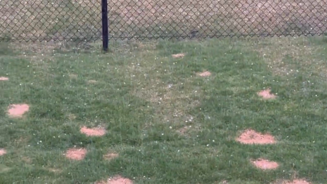 Hailstorm impacts Oswego, Illinois, leaving significant damage in yards