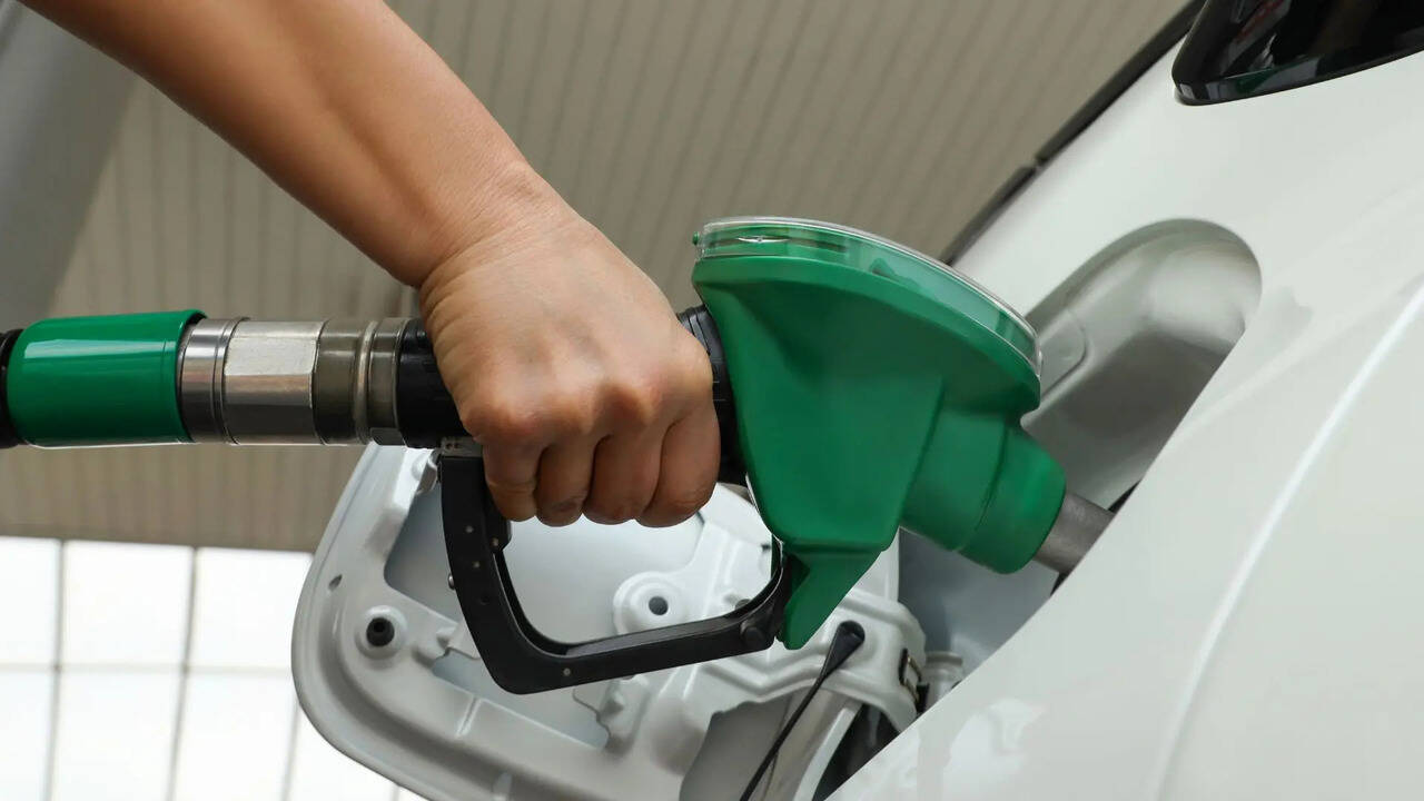India’s next fuel step? Centre starts E25 talks with auto industry