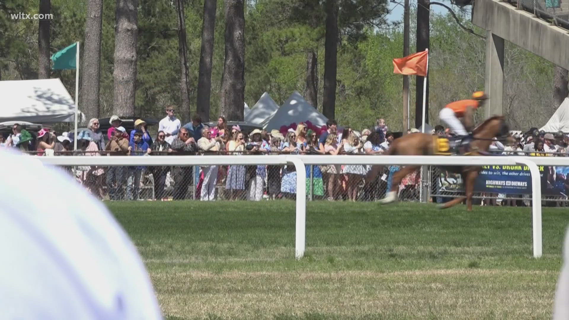 Thousands flock to Camden for the 91st running of the Carolina Cup