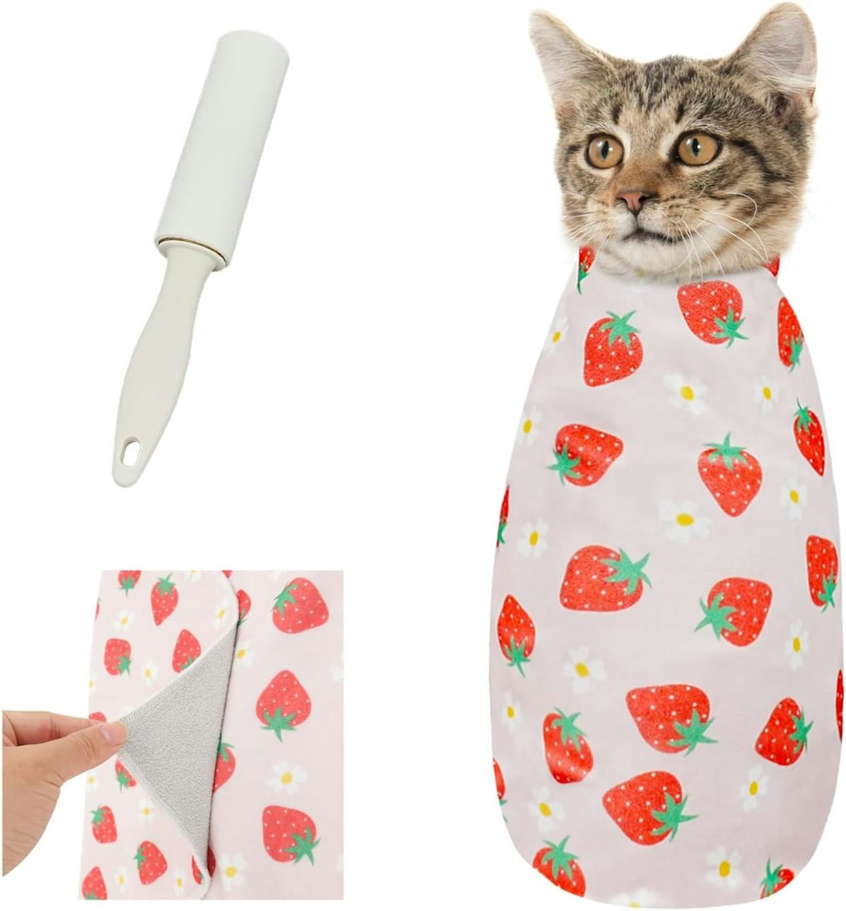 65 Weird, Amazing Things You'll Wish You Knew About Sooner