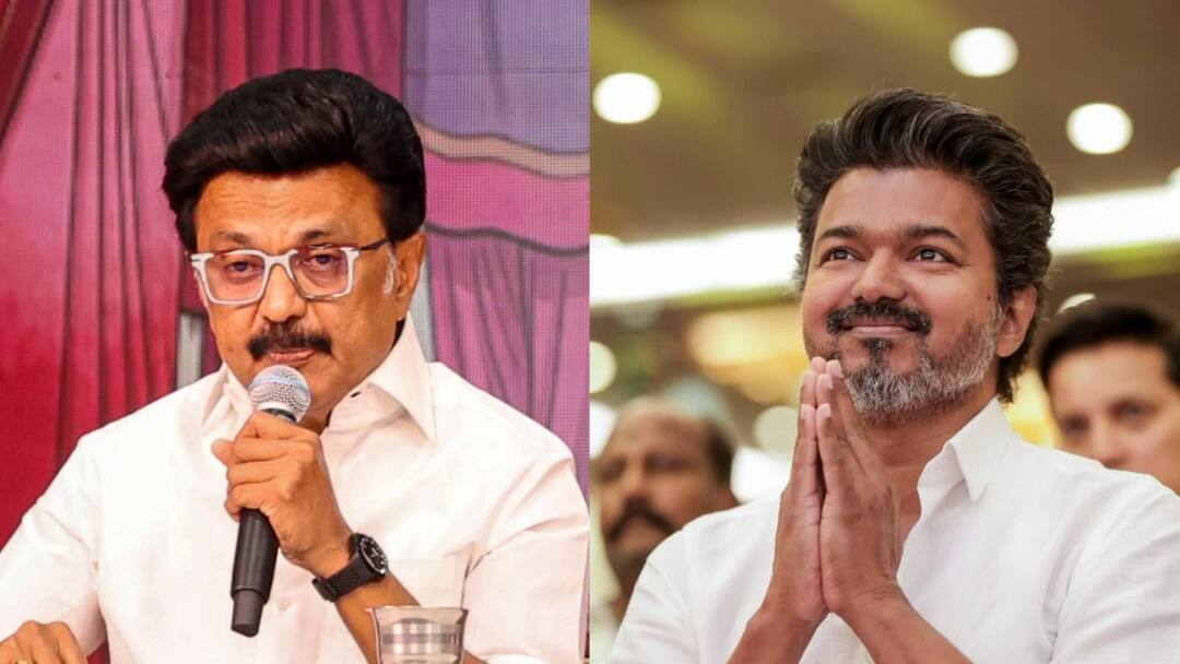 MK Stalin, TVK's Vijay file nomination for Tamil Nadu election