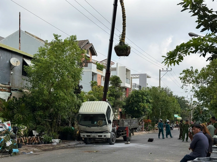 Cẩu cây cảnh chạm vào đường dây điện, tài xế bị điện giật chết
