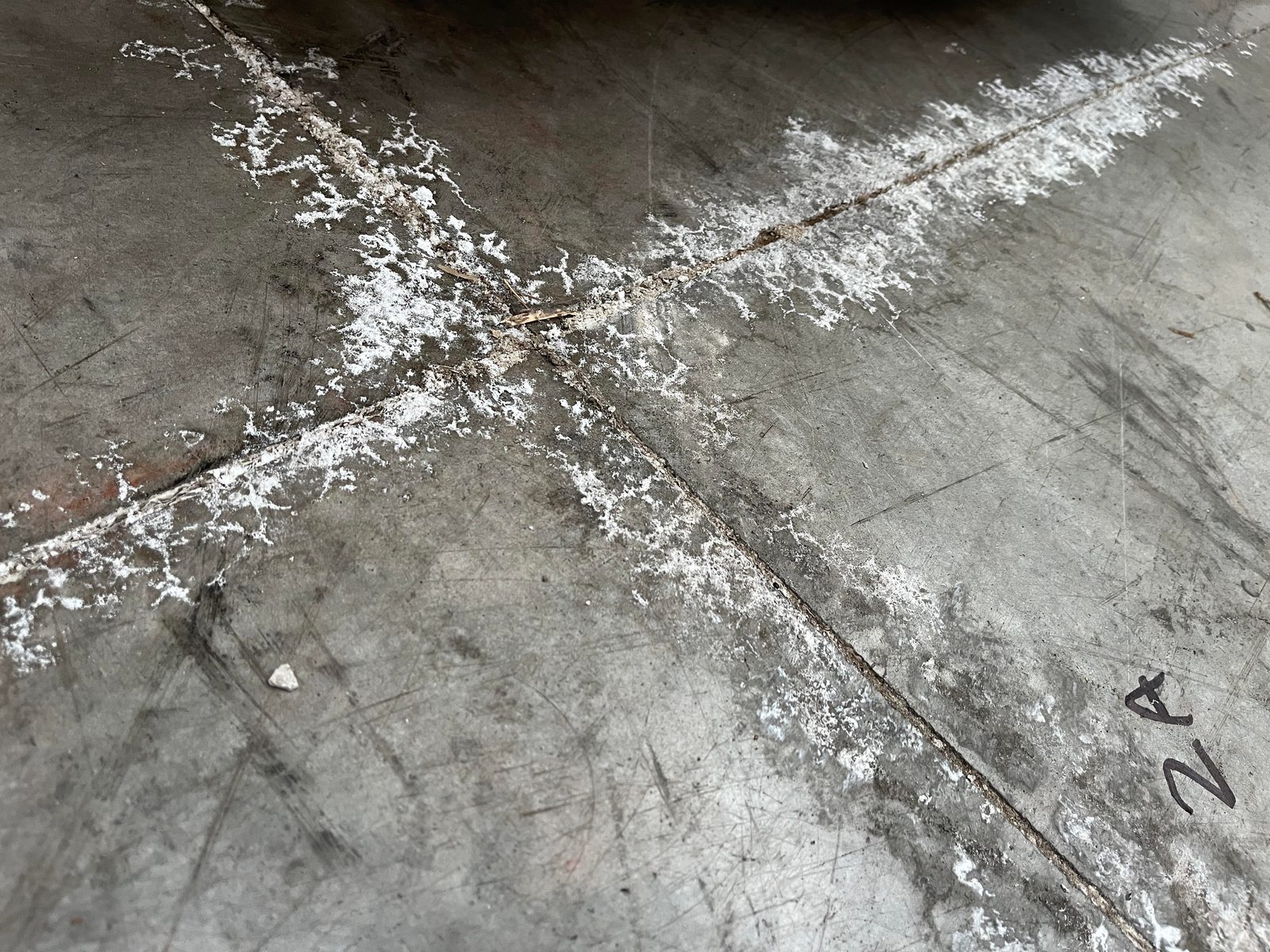 The white crust on your concrete is trying to tell you something