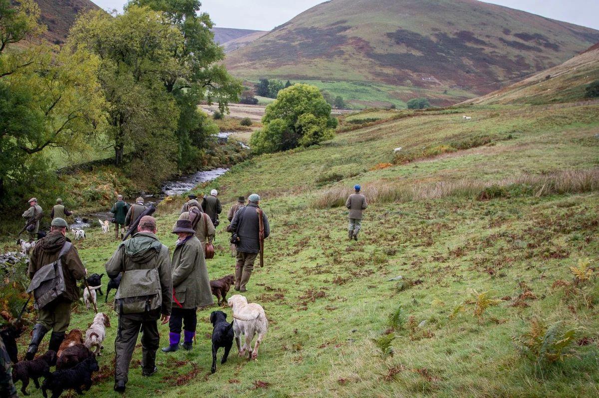 Surrey's rural communities condemn government trail hunting ban consultation
