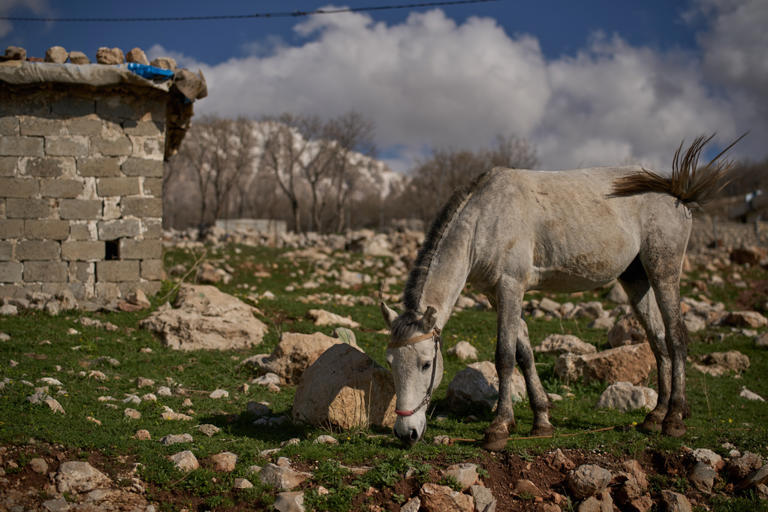 War disrupts life on the Iraq‑Iran border, isolating families and ...