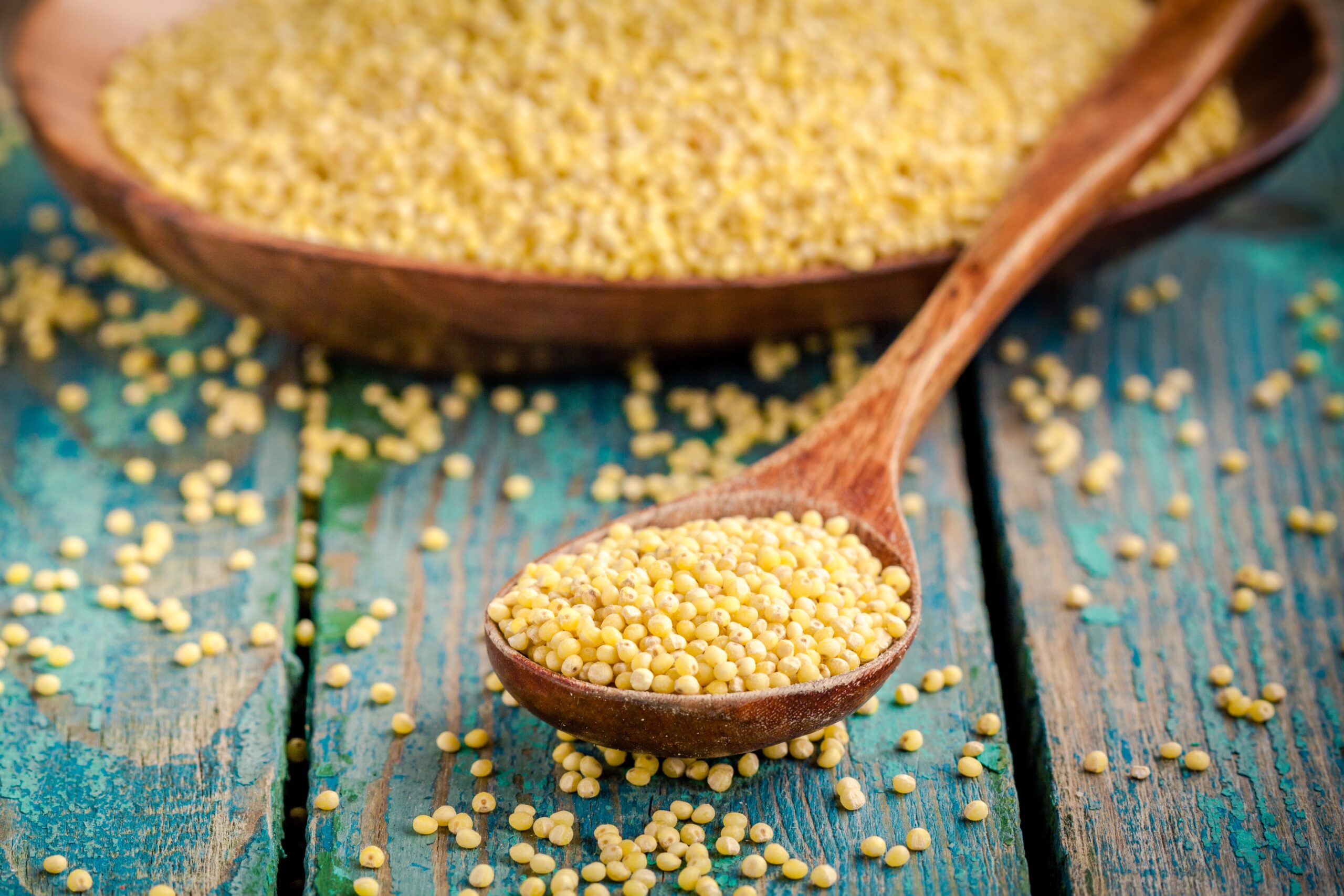 Millet : propriétés nutritionnelles, bienfaits, recettes et ...