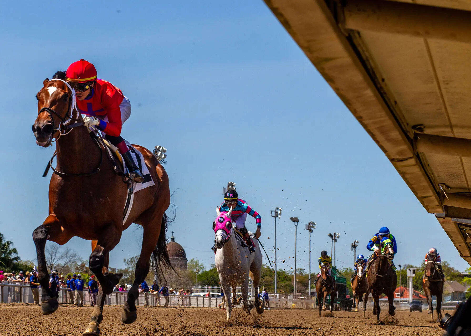 Bee Magical primed for finale glory