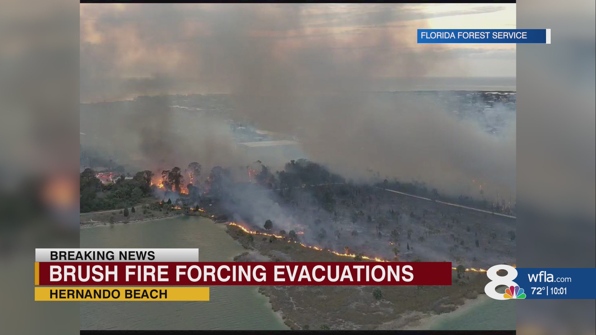 Mandatory evacuations ordered in Hernando Beach due to large brush fire