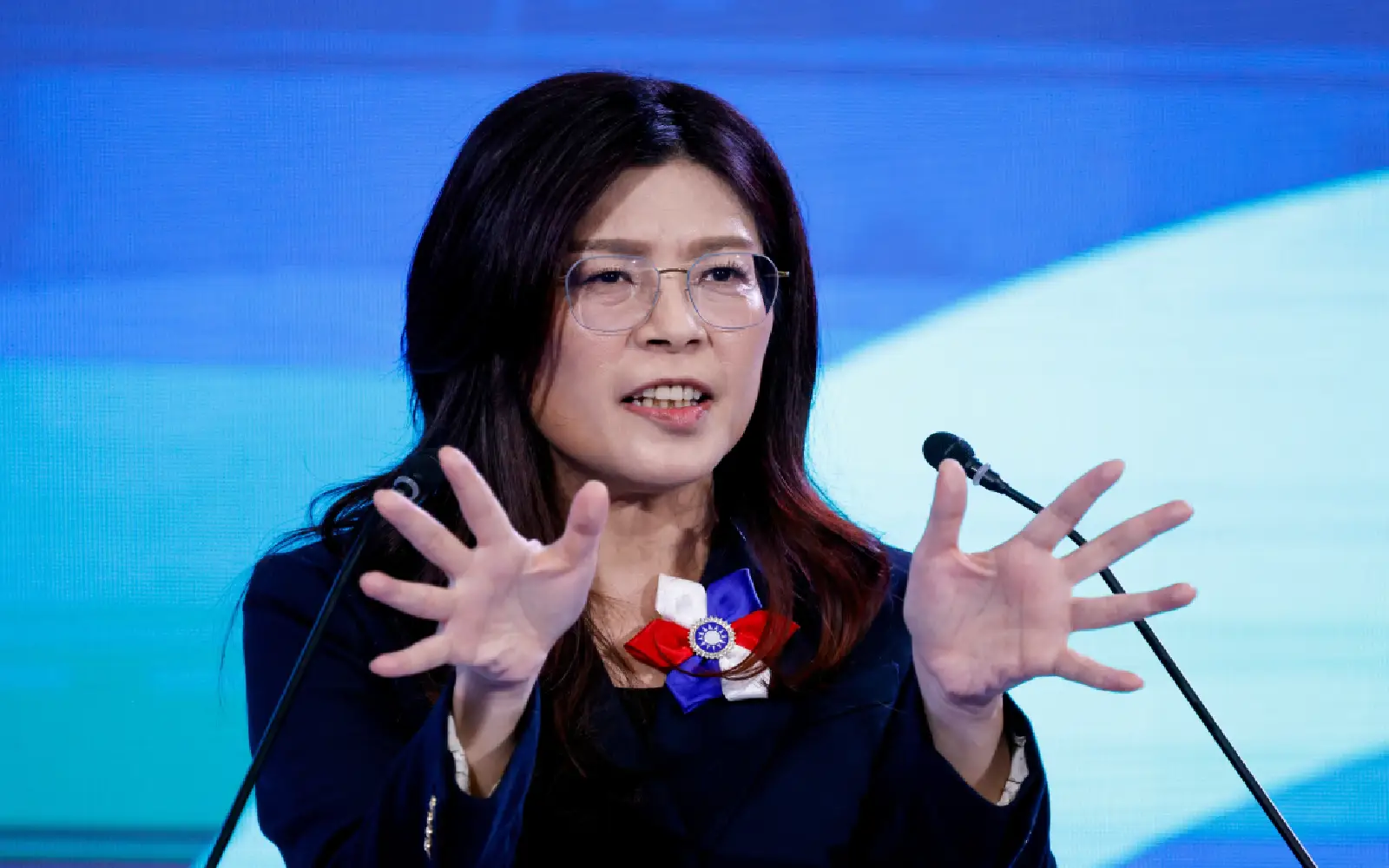 World does not need a crisis over Taiwan, says opposition leader
