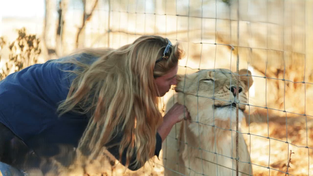 A threatened sanctuary, lions in danger and a battle against far more ...