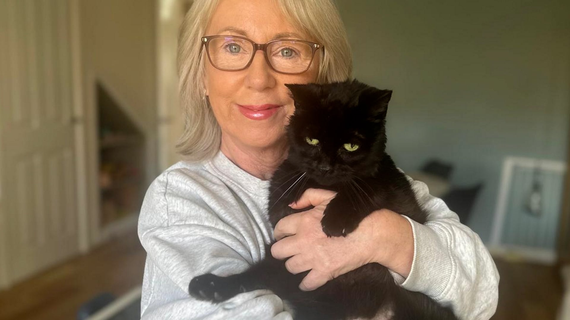 Cat is reunited with owner 12 years after going missing