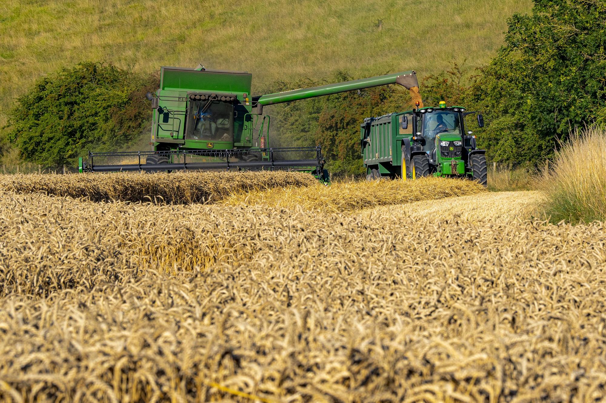 Labour needs to start listening to rural voices within its own party