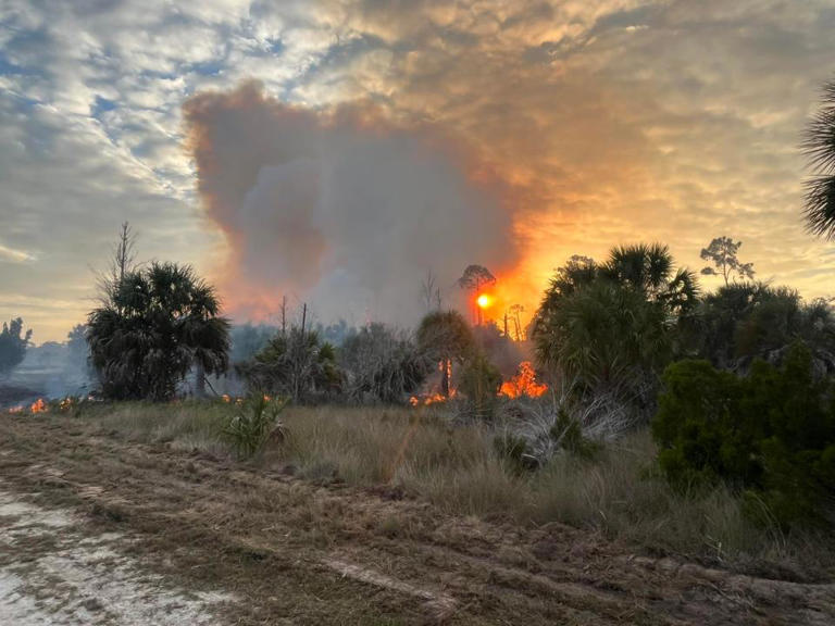 Crews continue to fight large brush fire in Hernando County