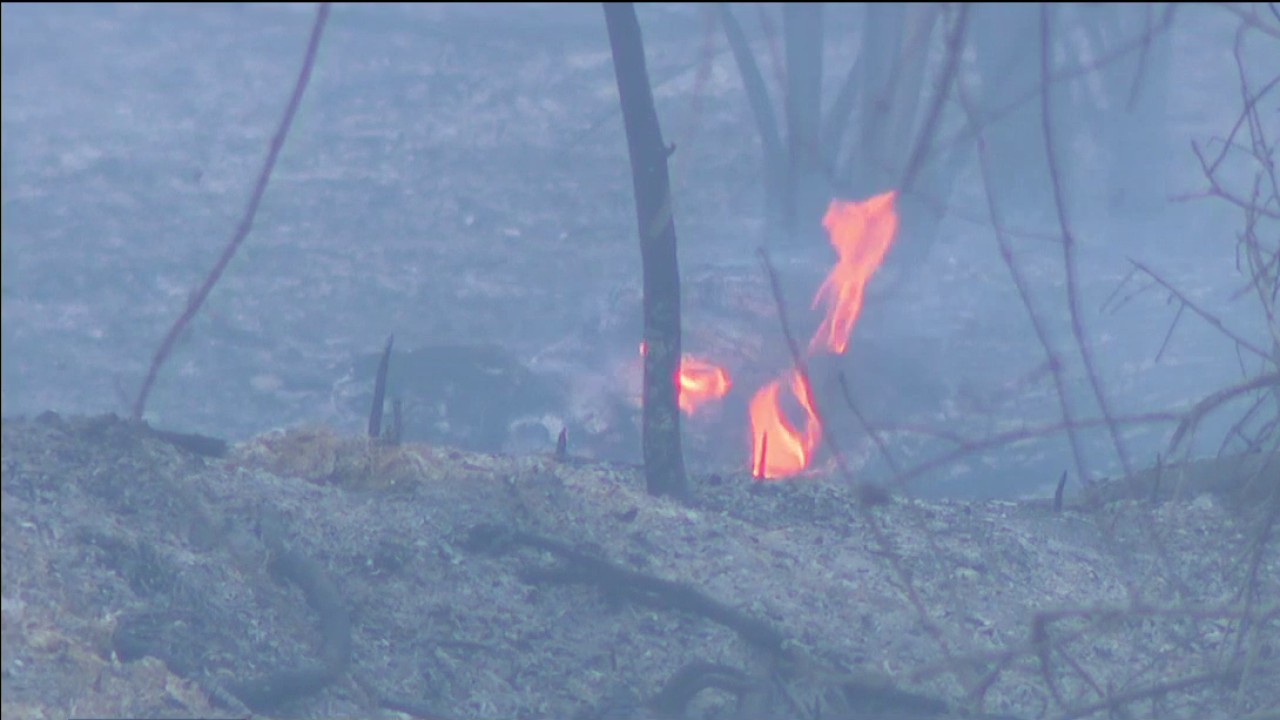 Crews still fighting Hernando County brush fire