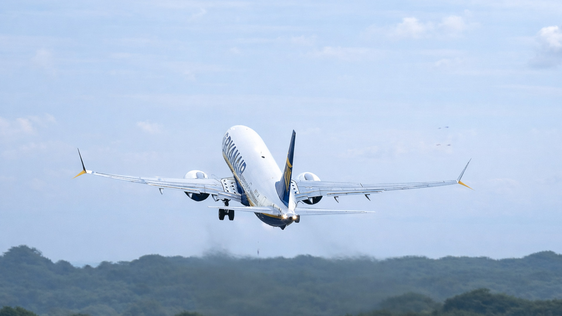 Bird strike hits plane just after takeoff caught on camera