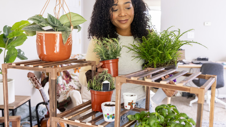 Try an easy hack to turn Dollar Tree's stackable planter into a hanging ...