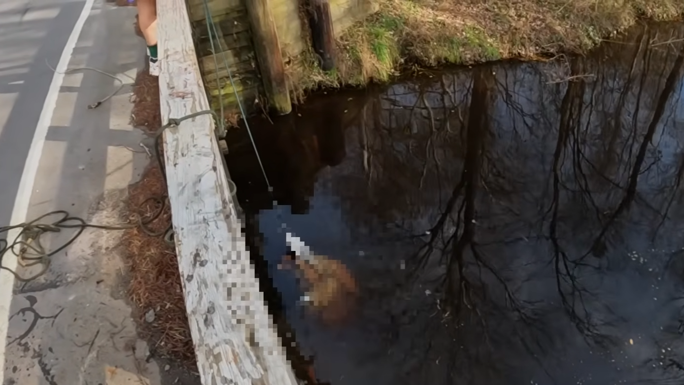 We searched this creek - and found remains… then it got worse