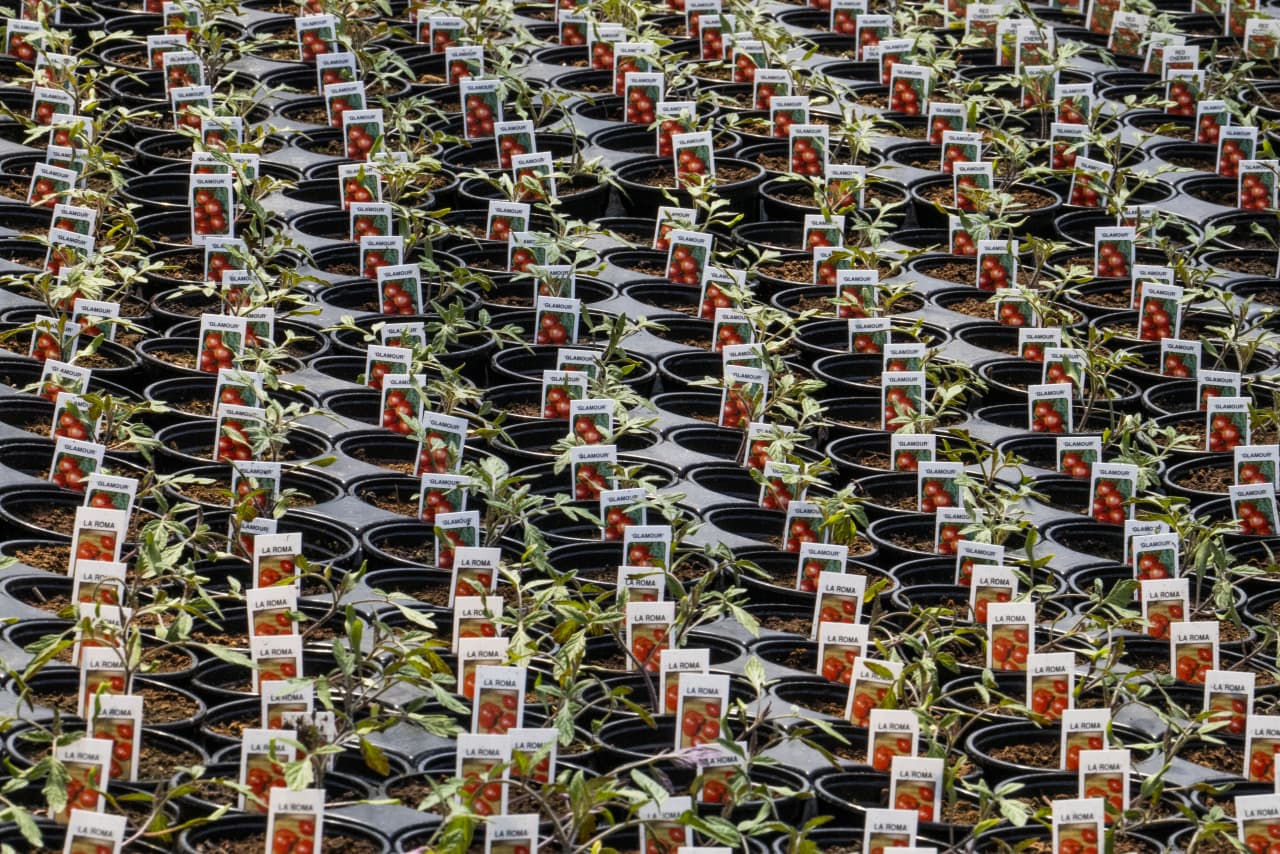 This food stock just clinched a $29 billion deal. But it’s giving Wall ...