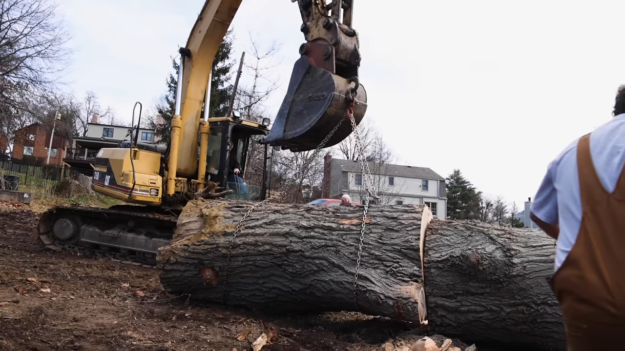 He saved this giant oak tree - then the chainsaw turned it into punishment
