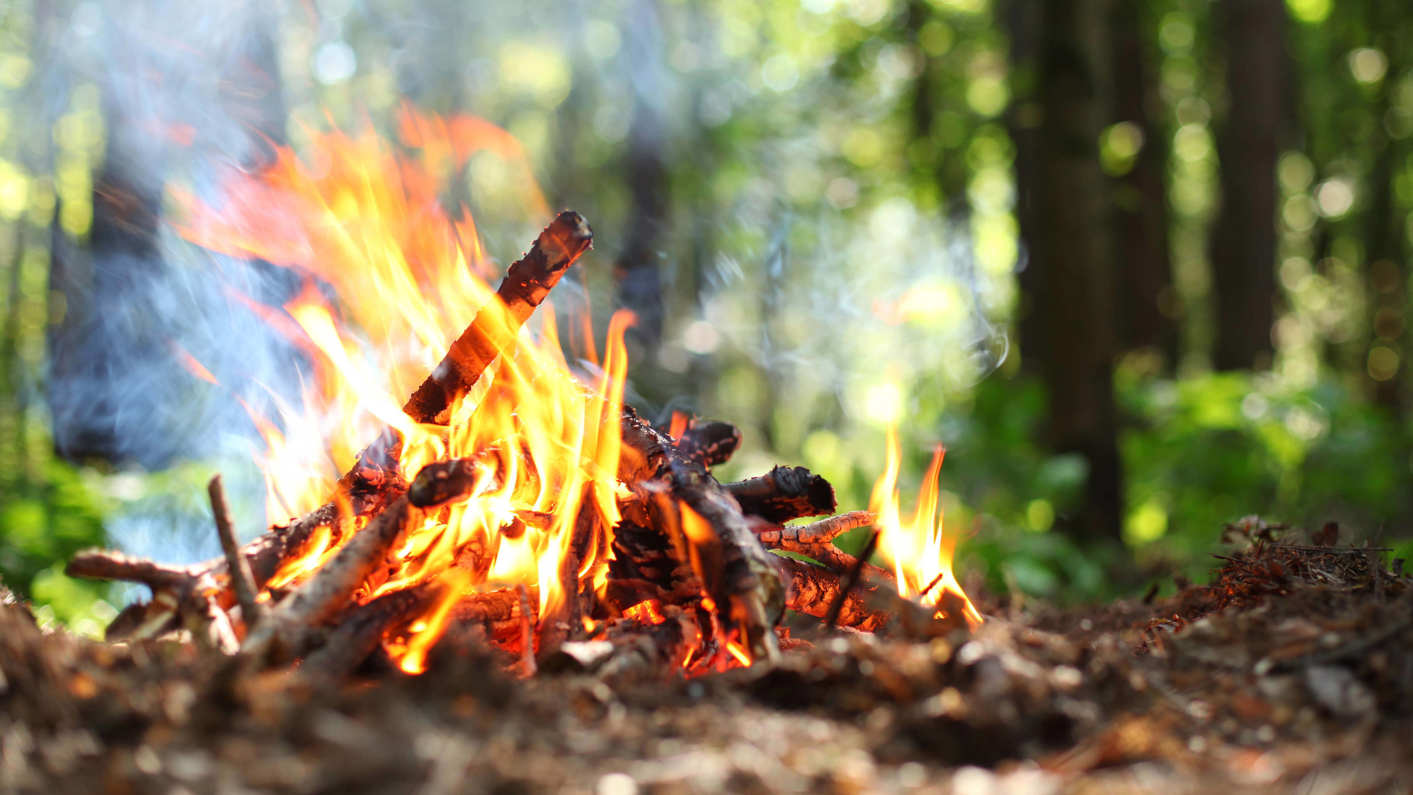 Campfire ban in Cairngorms National Park to come into force to cut ...