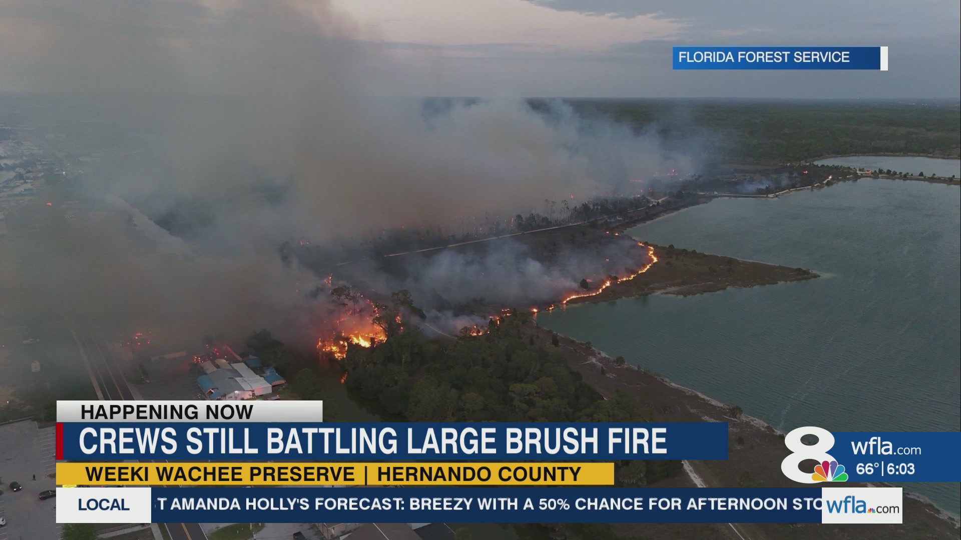 Crews fight large brush fire in Hernando County