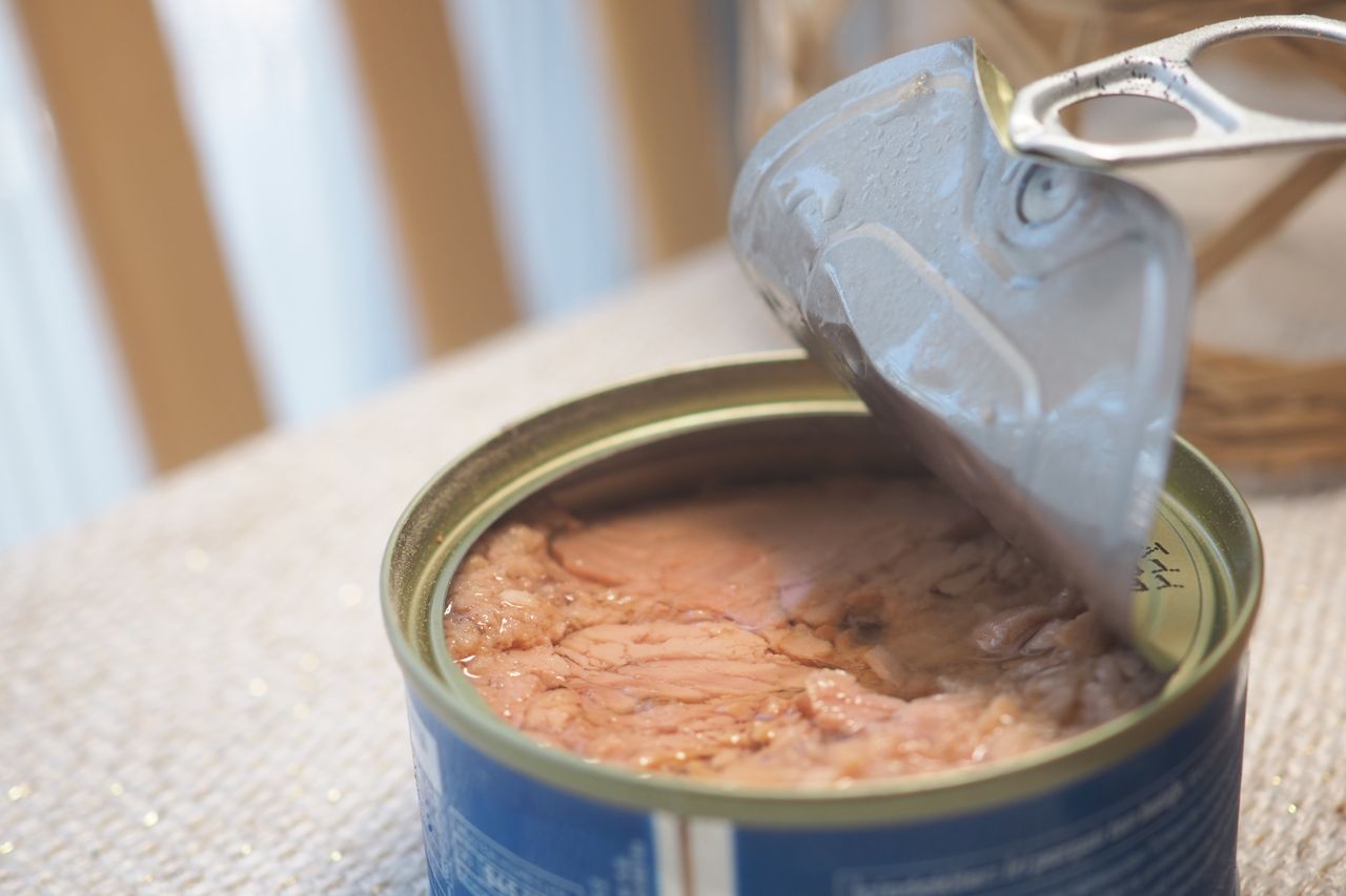 An image of canned tuna