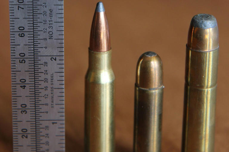 Why vintage Winchester self-loading rifles still draw attention today