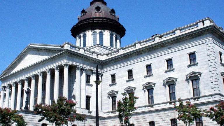 For the first time, SC Democrats run in every state and federal race